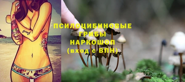 индика Абинск
