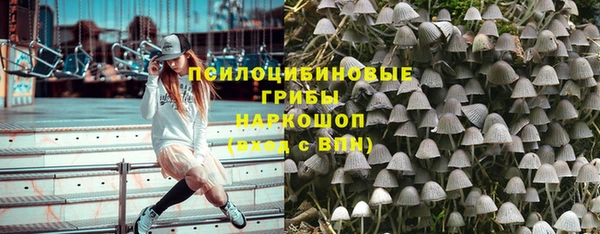 твердый Медвежьегорск