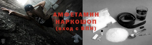 индика Абинск
