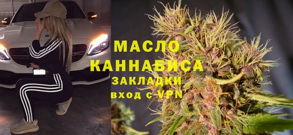 индика Абинск