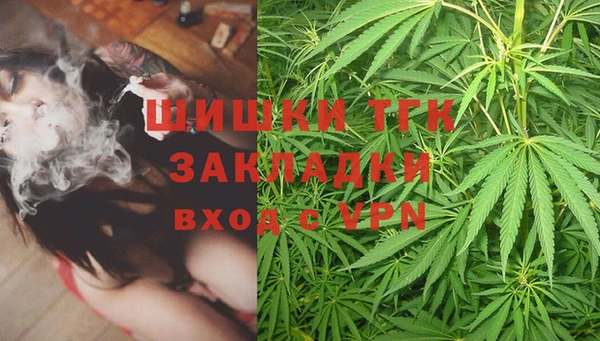 индика Абинск