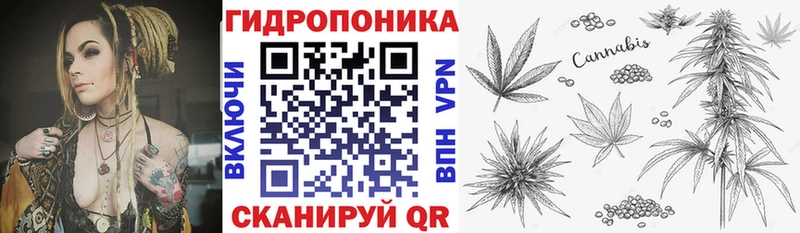 Марихуана сатива кракен зеркало Берёзовка